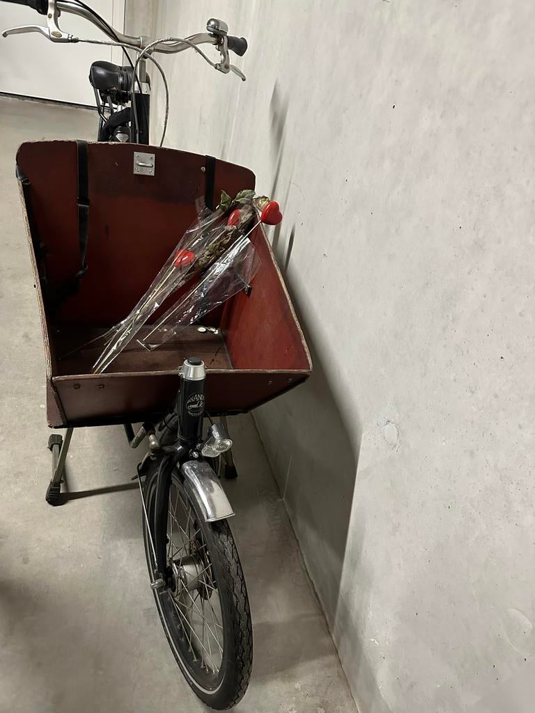 Bakfiets, Fietsen en Brommers, Fietsen | Bakfietsen, Gebruikt, Overige merken, 2 kinderen, Ophalen