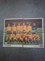 Panini sticker Euro Football 79. Elftalfoto Ajax compleet., Verzenden, Zo goed als nieuw, Sticker