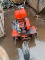 Tuinfrees, Ophalen of Verzenden, Zo goed als nieuw