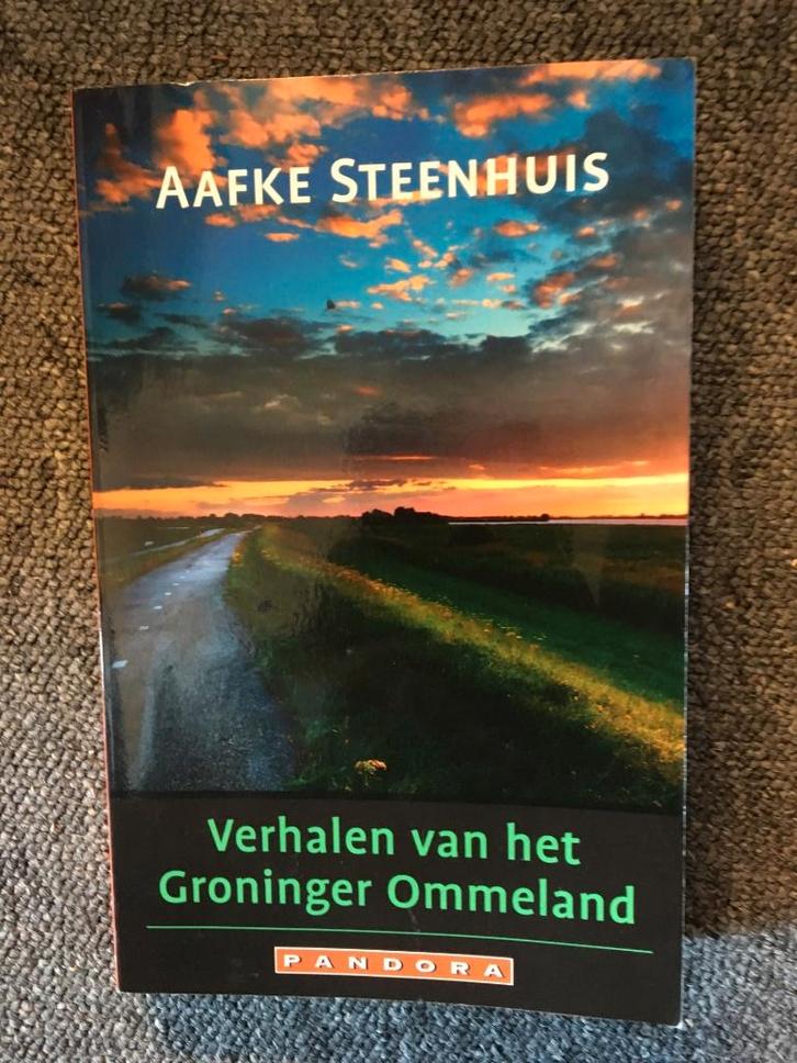 Verhalen van het Groninger Ommeland ; door Aafke Steenhuis, Boeken, Geschiedenis | Stad en Regio, Zo goed als nieuw, Ophalen of Verzenden