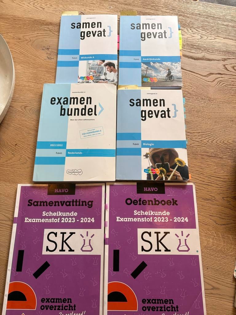Examenbundels en Samengevat boeken HAVO, Boeken, Schoolboeken, Ophalen of Verzenden, Gelezen, HAVO, Nederlands