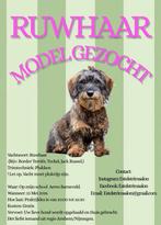 Model gezocht, 33 - 40 uur, Overige niveaus, Starter, Overige vormen