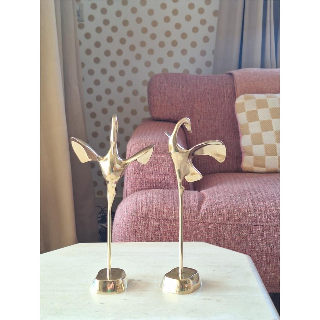 Messing zwanen, Ophalen of Verzenden, Dier