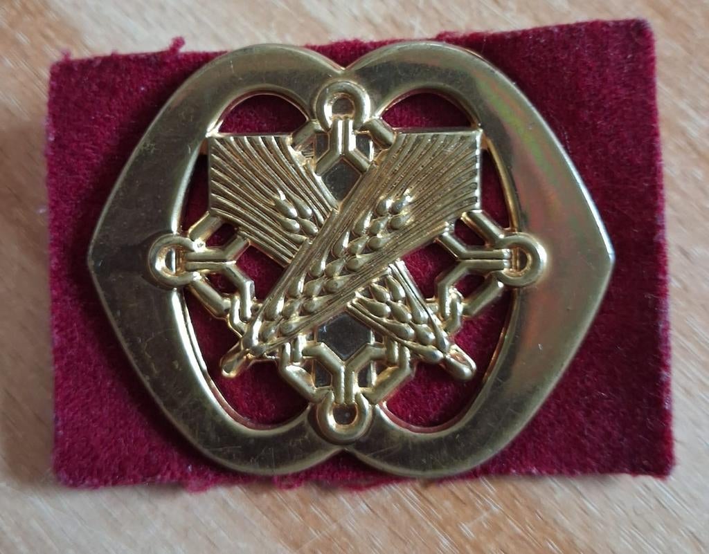 Embleem, Ophalen of Verzenden, Landmacht, Nederland, Embleem of Badge