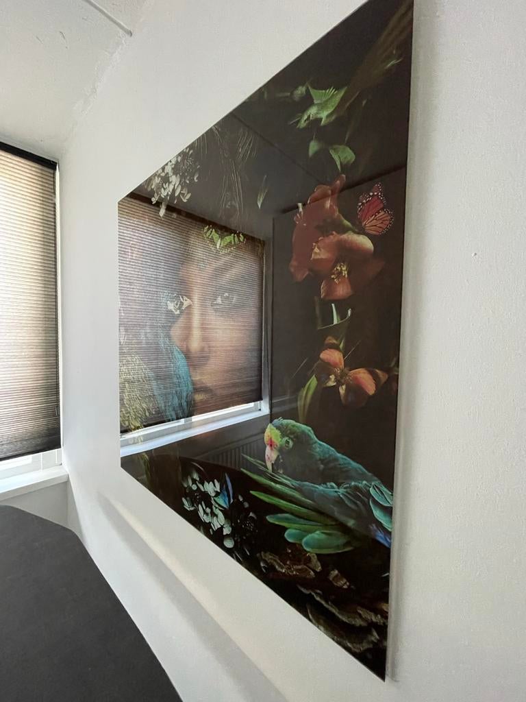 Schilderij van glas, Ophalen