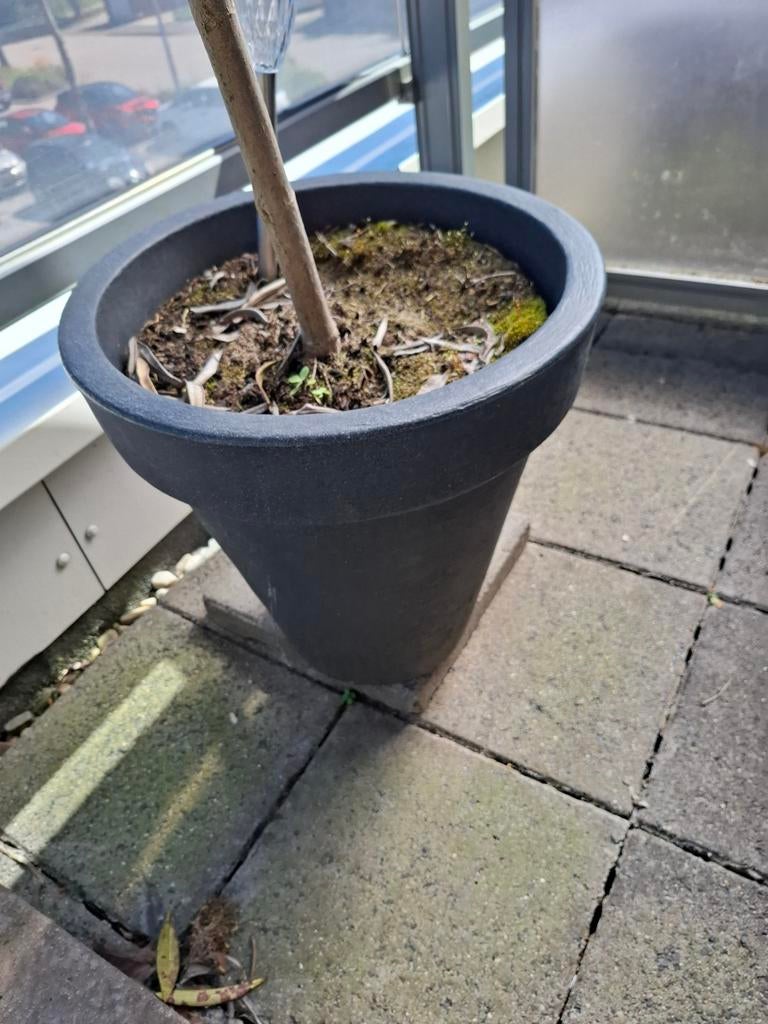 Plantenpot groot antracietgrijs, Balkon, Rond, Ophalen of Verzenden, Aardewerk
