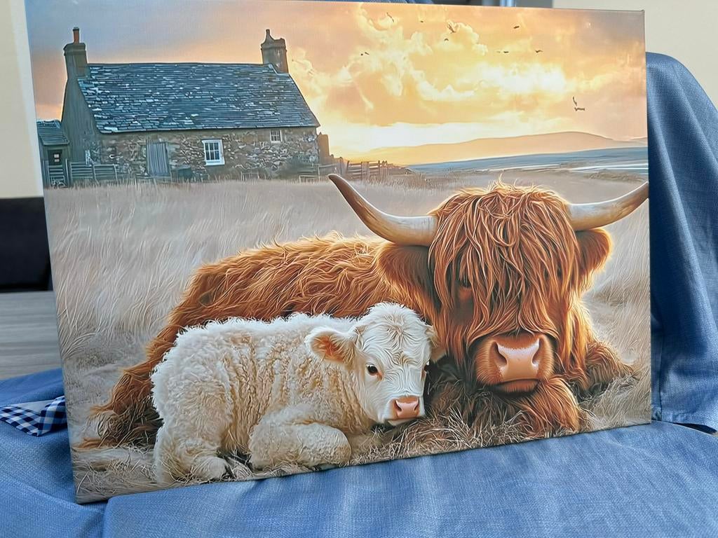 Canvas Schilderij Schotse Hooglanders met Kalfje 30x40 cm, Ophalen of Verzenden, Nieuw, Textiel