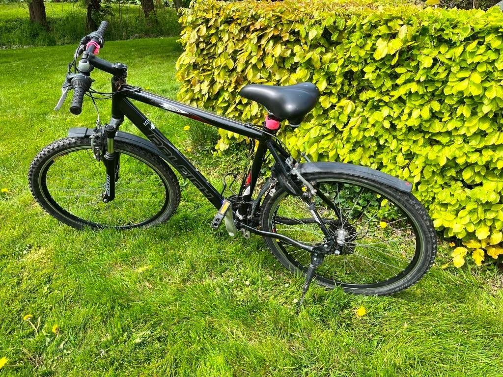 Raleigh Raven mountain bike, Fietsen en Brommers, Fietsen | Mountainbikes en ATB, Gebruikt, Hardtail, Ophalen, Overige merken