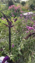 Ecologische stadshovenier, Ophalen of Verzenden