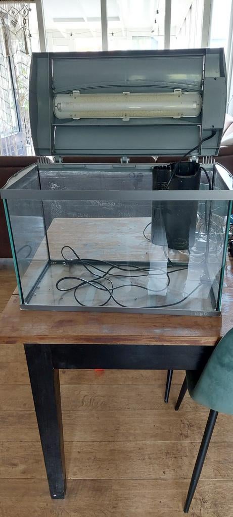 Aquarium met toebehoren, Dieren en Toebehoren, Vissen | Aquaria en Toebehoren, Ophalen