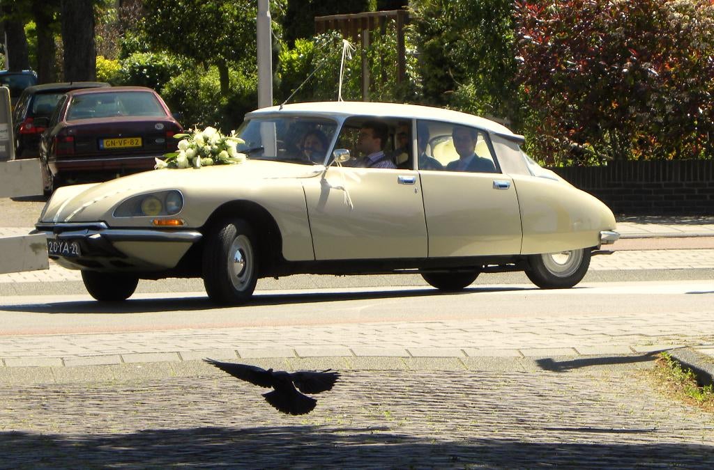 Citroën DS/DSpécial 1974_gerestaureerd, 2 eigenaren, Auto's, Voorwielaandrijving, Stof, 4 cilinders, DS