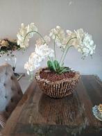Schelpenvaas met kunst orchideeen, Ophalen, Zo goed als nieuw, Binnen