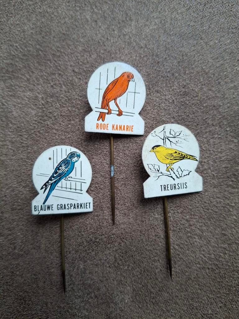 Vogel speldjes
- Rode kanarie,Treursijs,
Blauwe grasparkiet, Verzamelen, Ophalen of Verzenden, Gebruikt