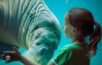 Dolfinarium tickets 2 stuks, Twee personen
