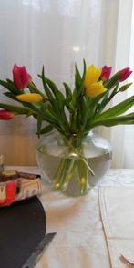 Poetsvrouw zoekt adresje in Heerlen, Ophalen