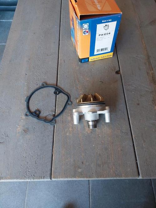 WATERPOMP SALERI PA1224 NISSAN OPEL RENAULT MASTER TRAFIC, Auto diversen, Overige Auto diversen, Ophalen of Verzenden