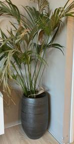 Grote vaas voor kamerplant, Ophalen, Steen, Overige kleuren, 50 tot 75 cm