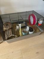Goudhamster, Dieren en Toebehoren, Ophalen, Zo goed als nieuw, Kooi, Minder dan 60 cm