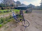Multicycle E-bike (zonder accu!), Fietsen en Brommers, Elektrische fietsen, 55 tot 59 cm, Ophalen, Gebruikt, Overige merken