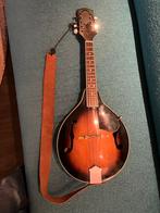 Mandoline A-type - Speelt Lekker!, Muziek en Instrumenten, Snaarinstrumenten | Overige, Ophalen, Gebruikt, Overige typen