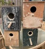 Mooi vier grote broedkasten te koop, Ophalen, Gebruikt, Hout, Broedkooi of Kweekkooi