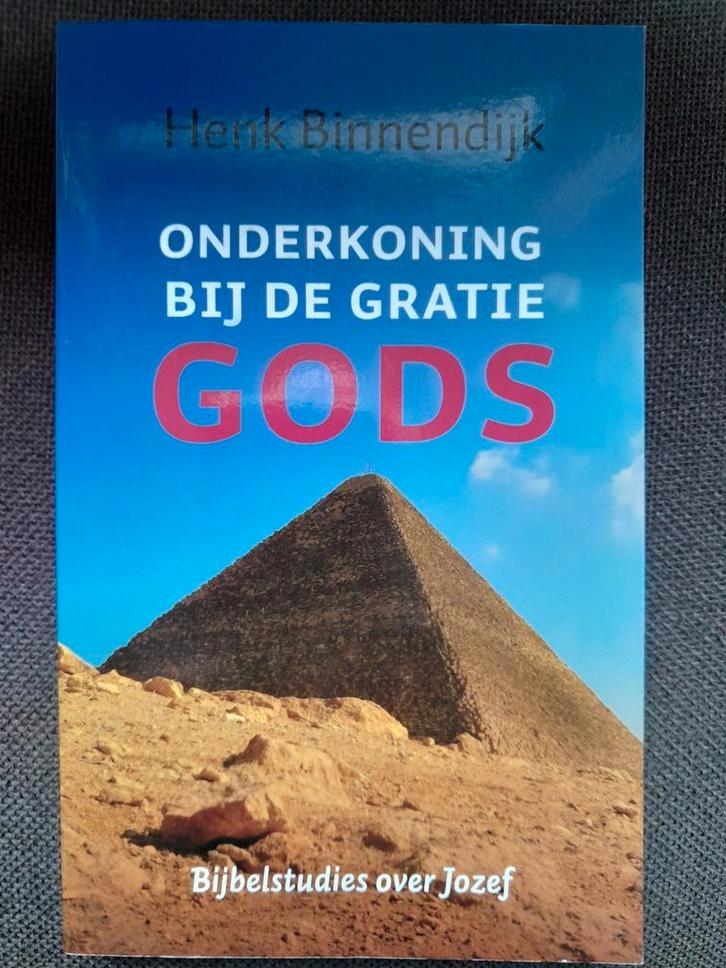 Henk Binnendijk - Onderkoning bij de gratie Gods, Boeken, Godsdienst en Theologie, Zo goed als nieuw, Ophalen of Verzenden
