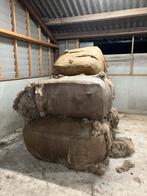 C-wol van het Kempische Heideschaap, Dieren en Toebehoren, Meerdere dieren, Schaap