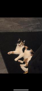 Kenza zoekt een fijn thuisje