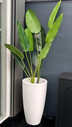 Kunstplant met pot, Huis en Inrichting, Woonaccessoires | Kunstplanten en Kunstbloemen, Ophalen, Nieuw, Binnen