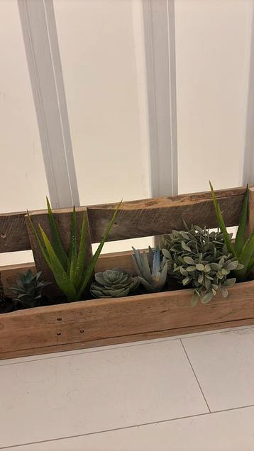 Pallet Plantenbak - Industrieel & Groot! (INCLUSIEF PLANTEN beschikbaar voor biedingen