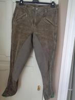 CAVALLO ribfluwelen rijbroek :mt 48/50, Dieren en Toebehoren, Ophalen of Verzenden, Zo goed als nieuw, Bovenkleding, Heren