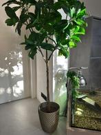 Planten overpot mand Riet Rotan Intratuin Westwing Nieuw!!!, Ophalen of Verzenden, Zo goed als nieuw
