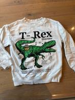 H&M Dino Trui Maat 122/128, Jongen of Meisje, Trui of Vest, H&M, Ophalen of Verzenden