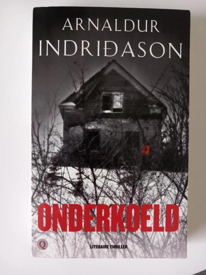 Arnaldur Indridason - Onderkoeld., Boeken, Thrillers, Zo goed als nieuw, Ophalen of Verzenden