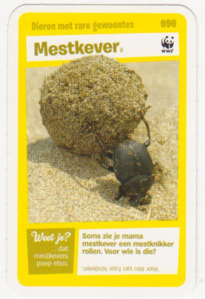 Super dieren no.90 Mestkever [2725]  [VeOvSu], Verzamelen, Supermarktacties, Albert Heijn, Ophalen of Verzenden