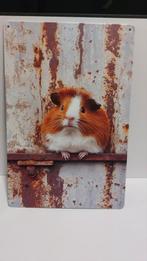 Cavia Wanddecoratie Aluminium 20x30cm, Ophalen of Verzenden, Nieuw