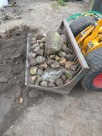 Gratis zwerfkeien - ca. 6 kruiwagens, Tuin en Terras, Grind, Keien en Split, Ophalen, Overige materialen, Gebruikt, Kei