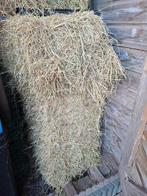 Hooi te koop, 2e snede hooipakjes/baaltjes te koop, Dieren en Toebehoren, Dierenvoeding, Ophalen, Overige soorten