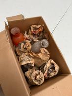 Raak lampen glas 7 wit 1 oranje Anvia Dijkstra NURIGARAGE, Ophalen