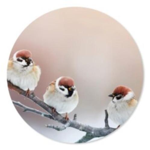 Muurcirkel vogels op een tak, Huis en Inrichting, Woonaccessoires | Wanddecoraties, Nieuw, Ophalen of Verzenden