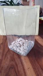 Glazen bak voor een goudvis of gup, Ophalen, Zo goed als nieuw, Leeg aquarium