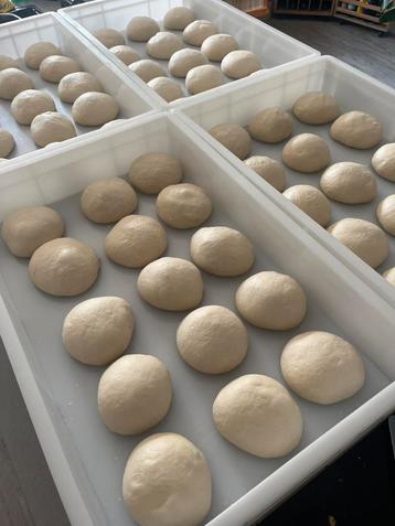 Ambachtelijke Pizza Deegbollen – Vers of Bevroren beschikbaar voor biedingen
