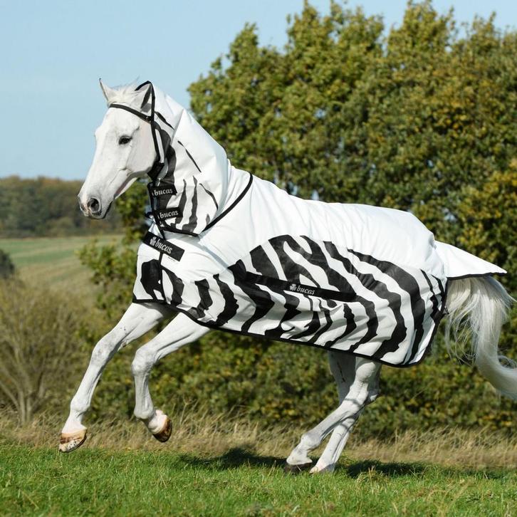Nieuwe Bucas Buzz Off Rain Zebra regendeken vliegendeken, Dieren en Toebehoren, Paarden en Pony's | Dekens en Dekjes, Nieuw, Deken