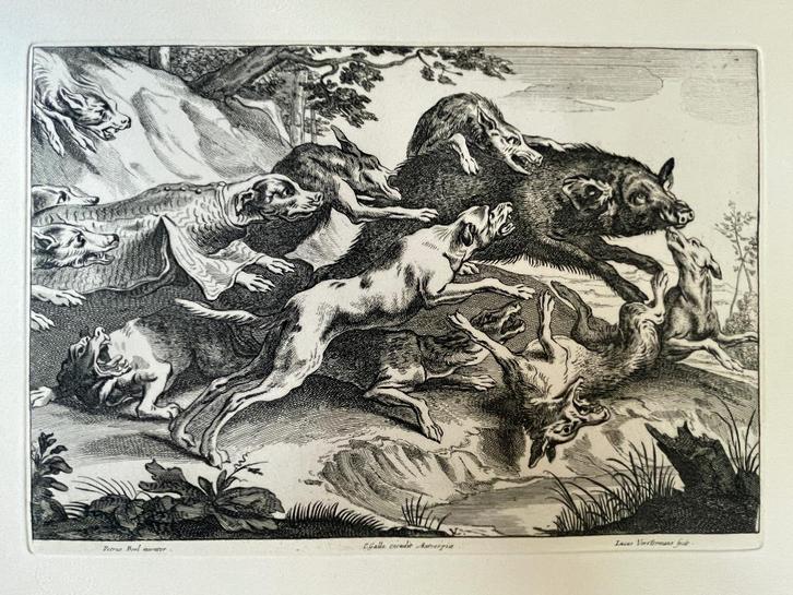 GROOT - Lucas Vorsterman / de everjacht Mooie Gravure, Antiek en Kunst, Kunst | Etsen en Gravures, Ophalen of Verzenden