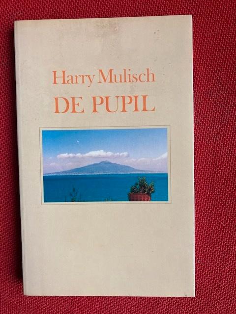 De pupil - harry mulisch, Boeken, Literatuur, Gelezen, Nederland, Ophalen of Verzenden
