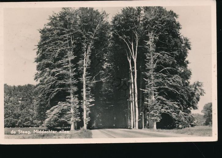 De Steeg - Middachter allee [KRST009-1677, Verzamelen, Ansichtkaarten | Nederland, Gelopen, Gelderland, 1960 tot 1980, Verzenden