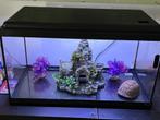 Aquarium, Dieren en Toebehoren, Vissen | Aquaria en Toebehoren, Ophalen, Gebruikt, Leeg aquarium