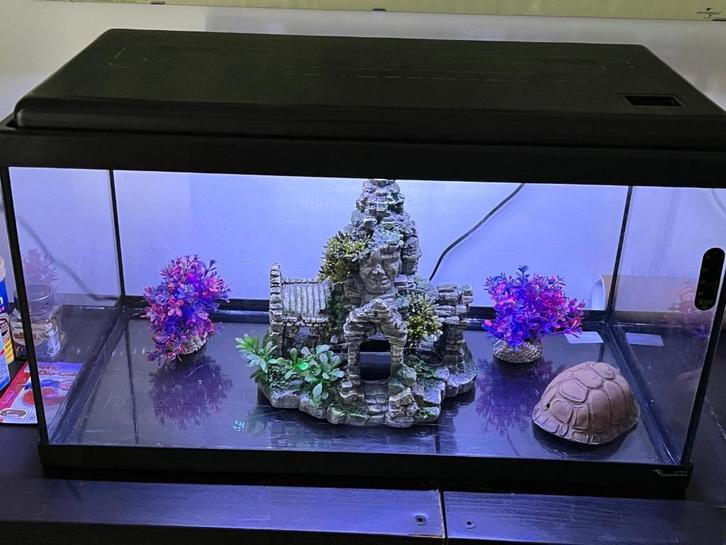 Aquarium, Dieren en Toebehoren, Vissen | Aquaria en Toebehoren, Gebruikt, Leeg aquarium, Ophalen