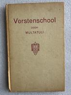 Vorstenschool- Multatuli, Antiek en Kunst, Ophalen of Verzenden, Multatuli