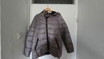 Winter/tussen jas, Overige kleuren, Maat 42/44 (L), Ophalen of Verzenden, Zo goed als nieuw